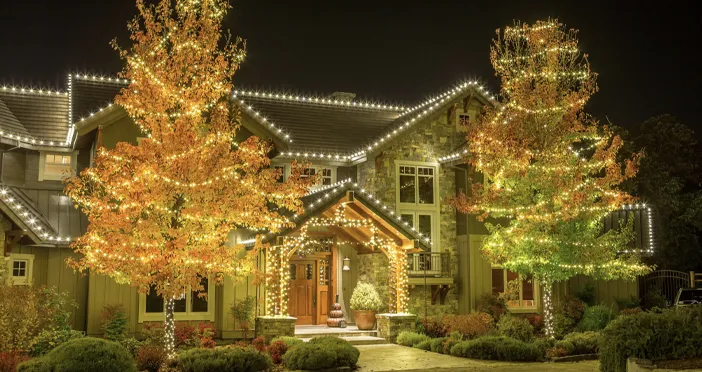 Unified Elegance Christmas Lighting Package